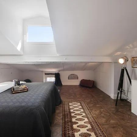 Appartement Cocoon Loft - Magnifique Loft Sous Toit, Refait A Neuf, Vues Splendides, Clim, Wifi Nice