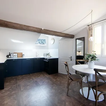 Apartment Cocoon Loft - Magnifique Loft Sous Toit, Refait A Neuf, Vues Splendides, Clim, Wifi Nice