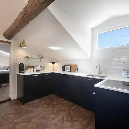 Cocoon Loft - Magnifique Loft Sous Toit, Refait A Neuf, Vues Splendides, Clim, Wifi Lejlighed Nice