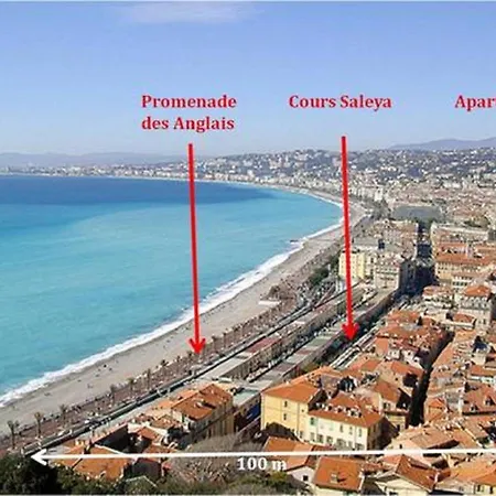 Cocoon Loft - Magnifique Loft Sous Toit, Refait A Neuf, Vues Splendides, Clim, Wifi Nice
